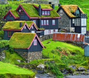 Крыши из зелени