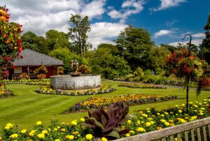 Скромный сад