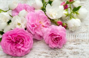 Белые и розовые розы