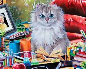 Кот Эйнштейна