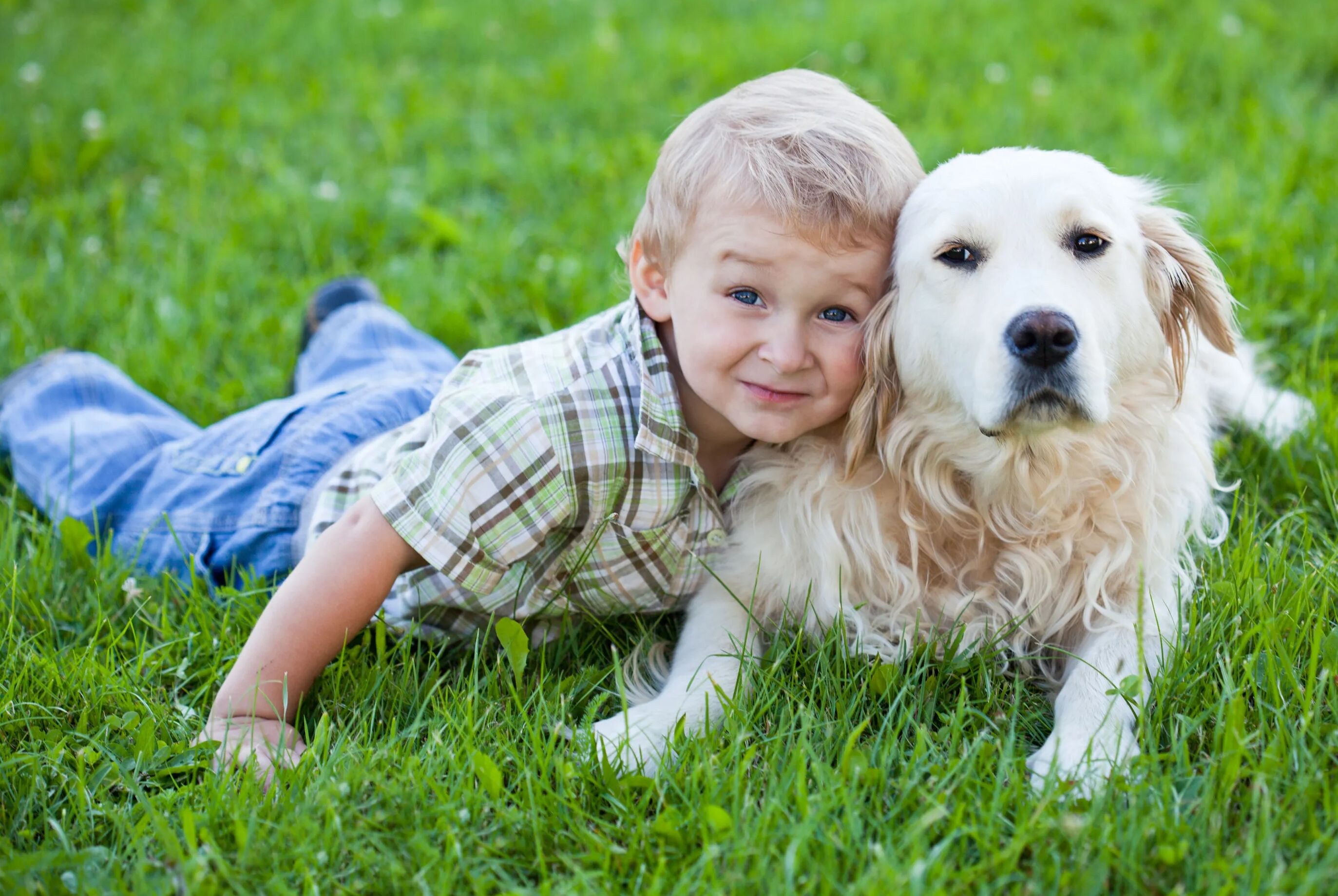 Собака хочет мальчика. Собака для детей. Ребенок и домашние живот. Домашние животные для детей. Дети с животными.