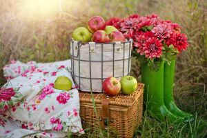 Яблоки и цветы в сапогах