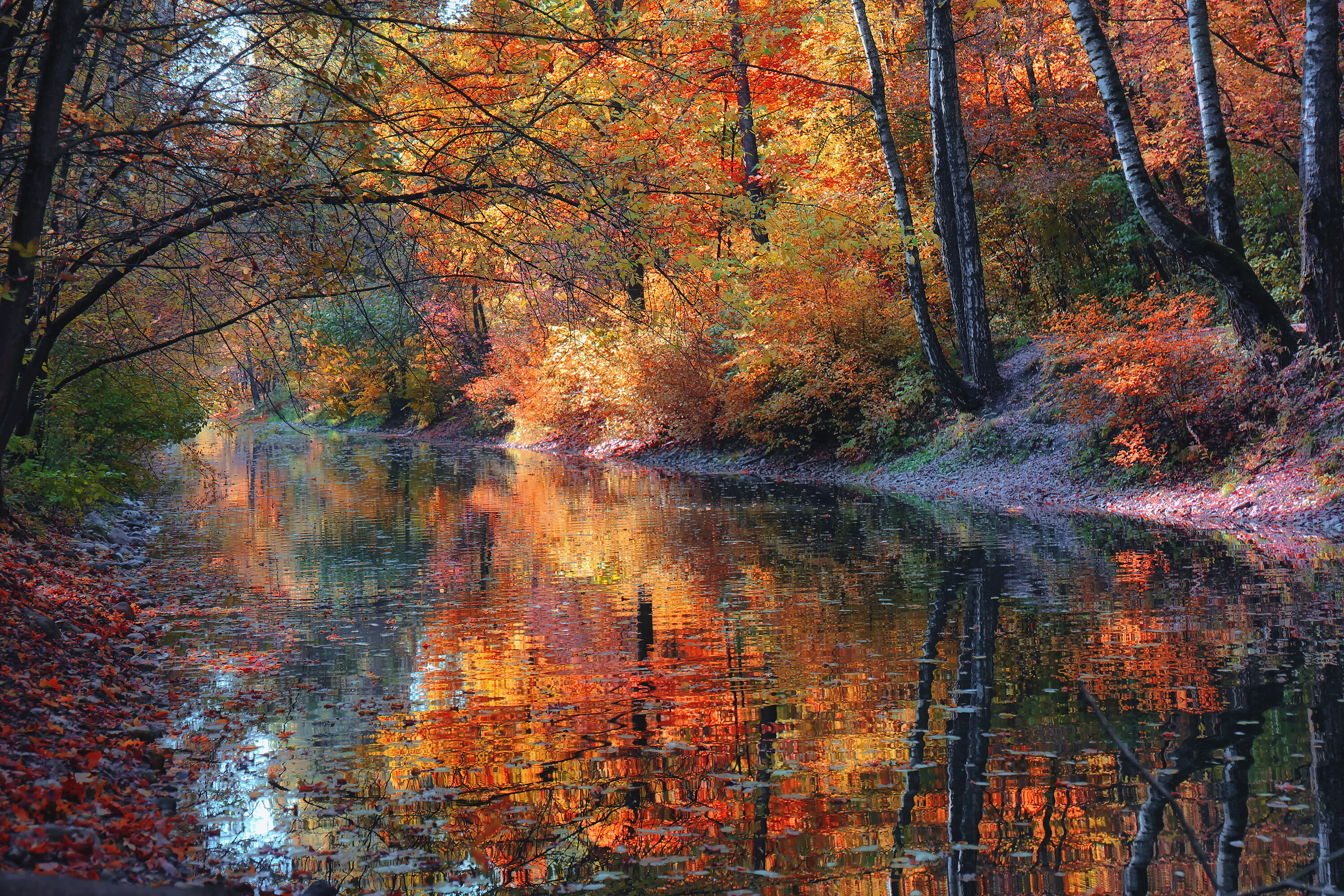Лесная река осенью