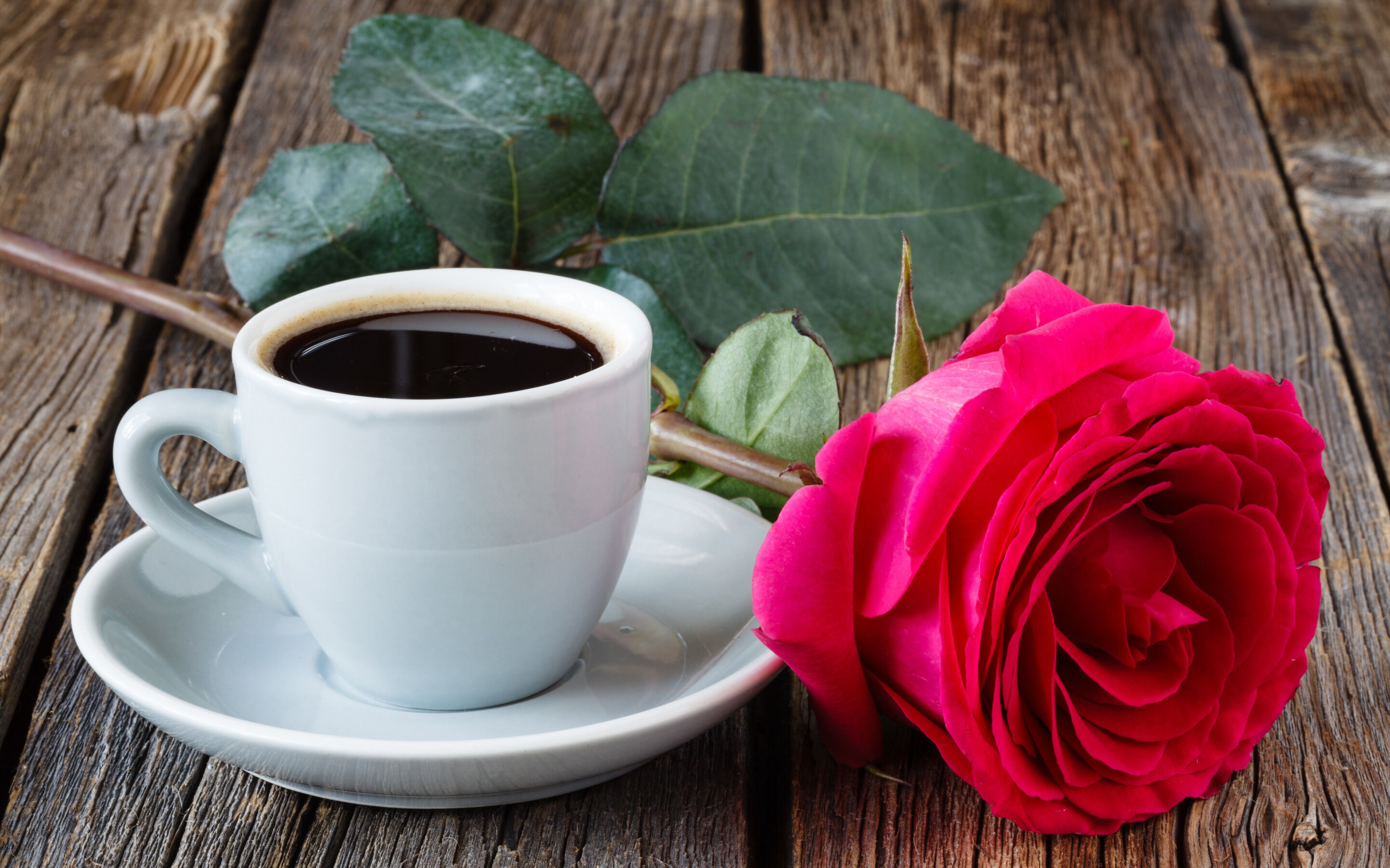 Красные розы и кофе