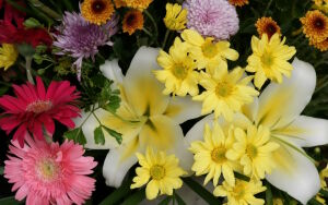 Лилии и хризантемы