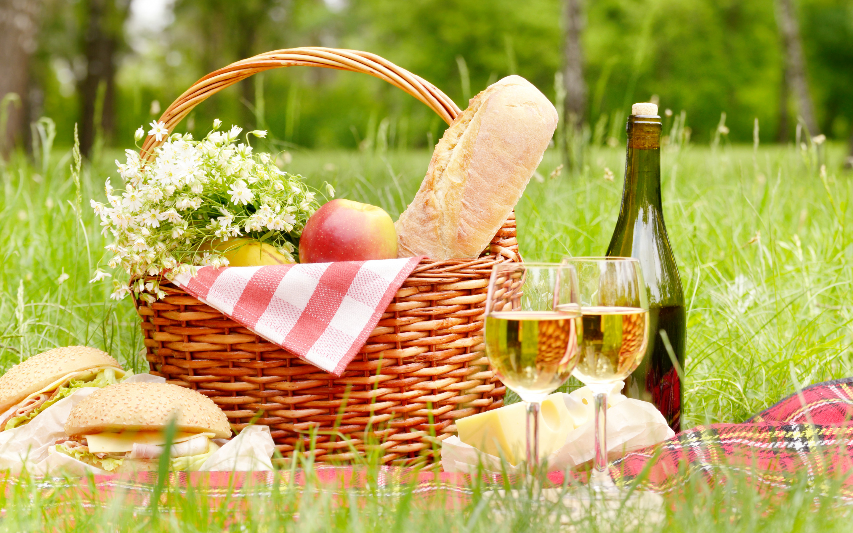 Пикник с вином