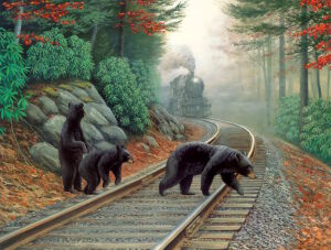 Медведи на железной дороге
