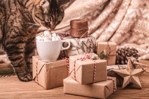 Кошкины подарки