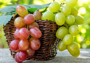 Два вида винограда