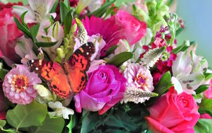 Бабочка на цветах