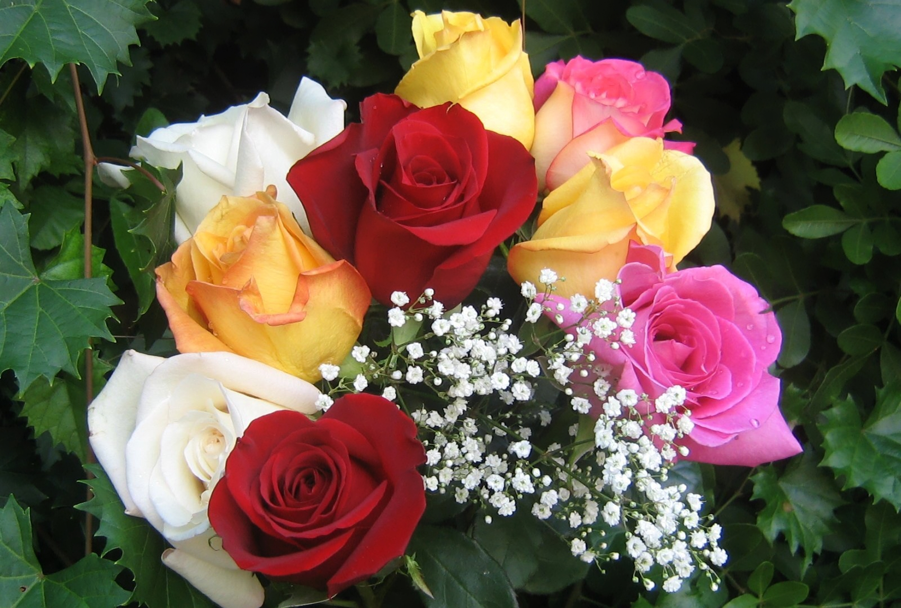 Цветы букет фото красивые картинки розы