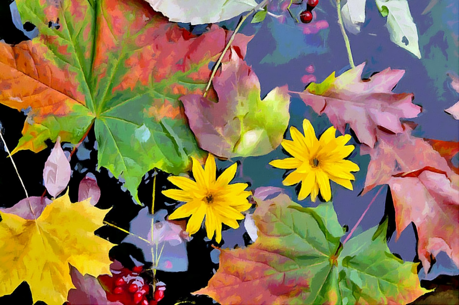 Цветы и листья в воде