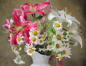 Ромашки и лилии