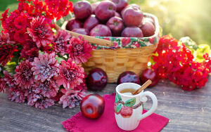 Красные яблоки и хризантемы