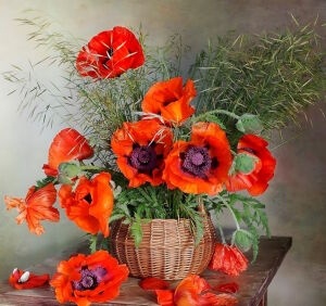 Маки на столе