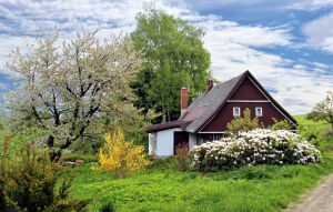 Дом и весна