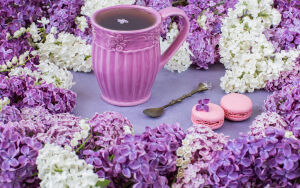 Сирень и чай