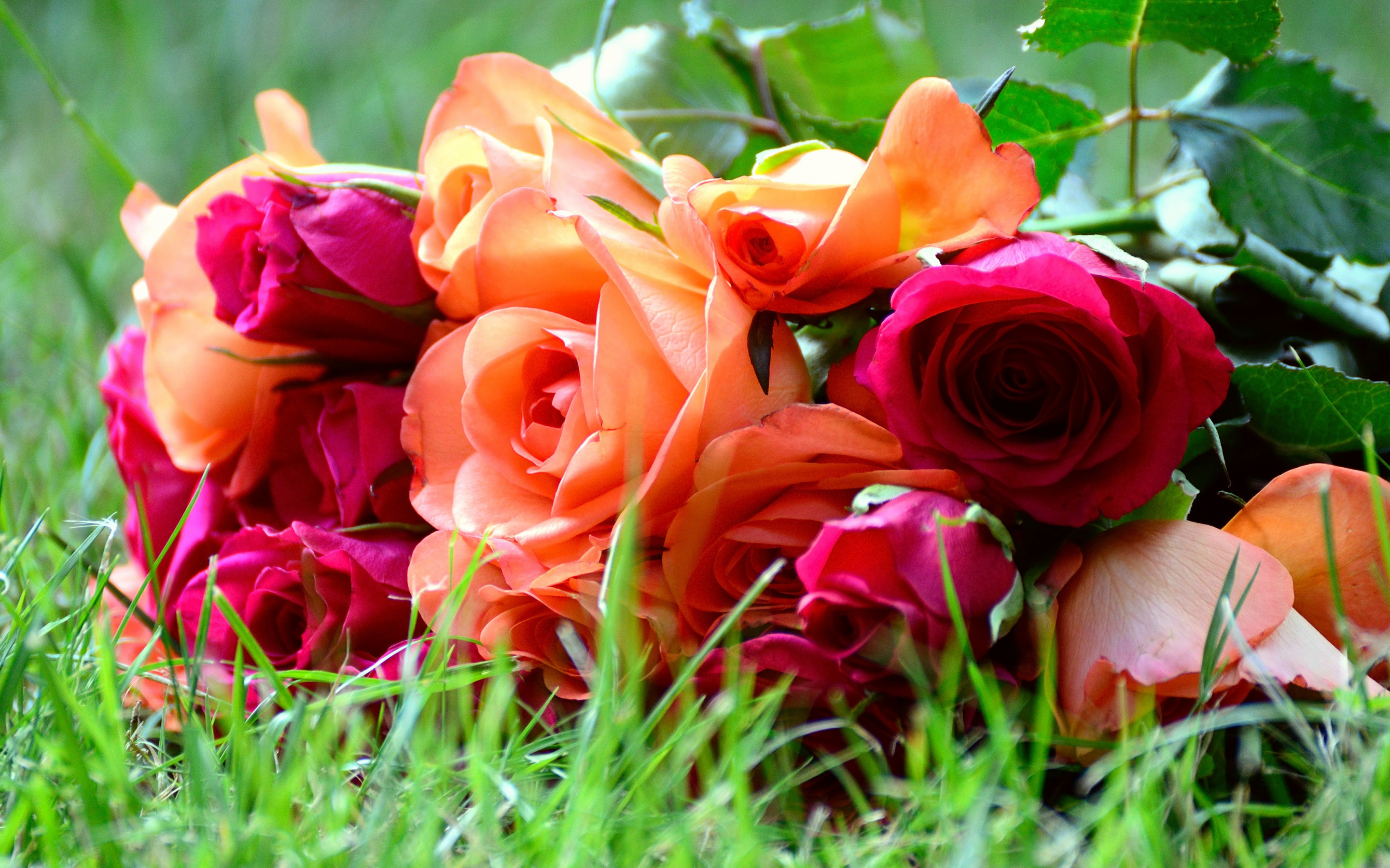Лето цветы розы. Красивый букет. Красивый букет роз. Яркие розы. Шикарный яркий букет.