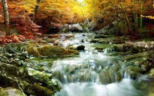 Водопад осенью