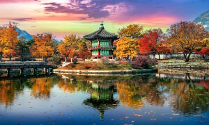 Осенняя Корея