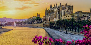 Пальмский собор Ла Сеу