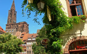 Зелень в городе Страсбург