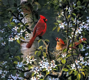 Гнездование