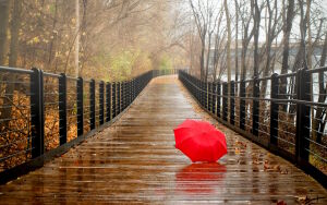 Зонтик на мосту