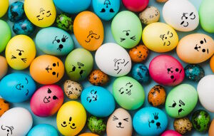 Яйца с мордочками