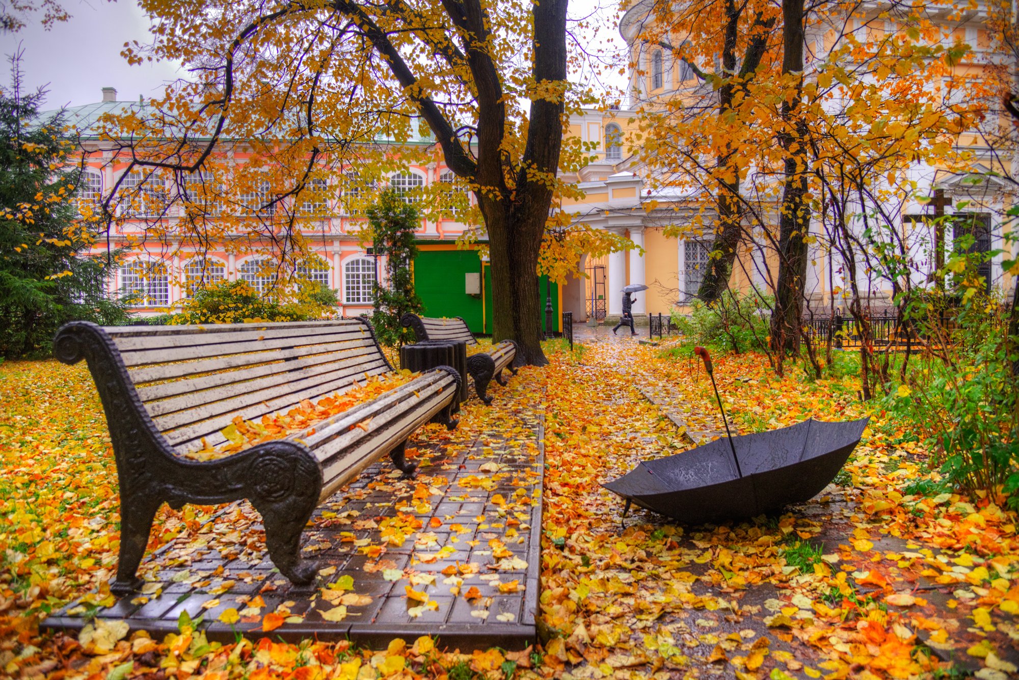 В парк пришла осень. Скамейки царского села. Царское село скамейки. Екатерининский парк осень в Питере. Берново лавочка.