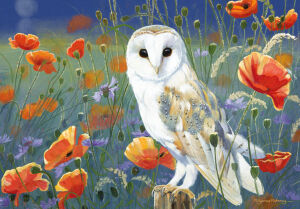 Сипуха в маках