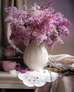 Персидская сирень