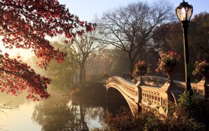 Мост с цветами