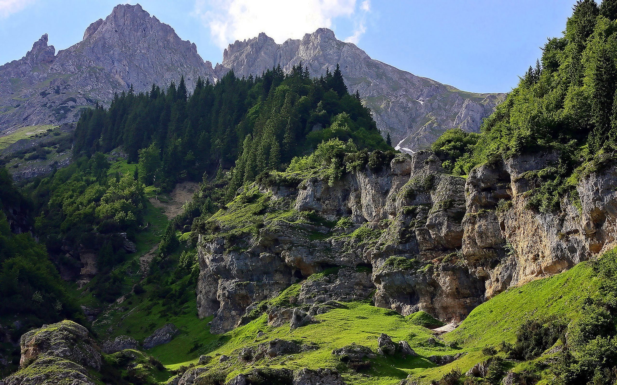 Gory. Цейское ущелье. Горы ущелье Долина лес. Горные скалы Кавказа. Альпийский рельеф Испания.