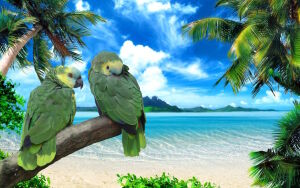 Зеленые попугаи и море