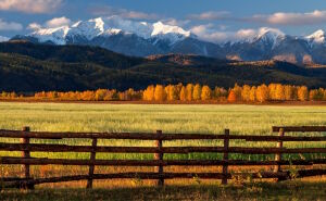За заборчиком
