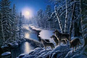 Волки в лесу и луна