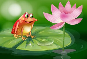 Лягушка и цветок