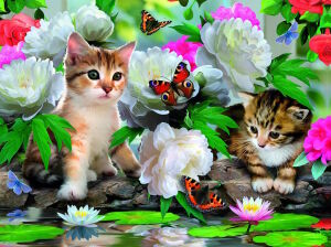 Милые котята и бабочки