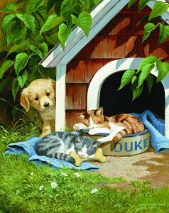 Сонные котята