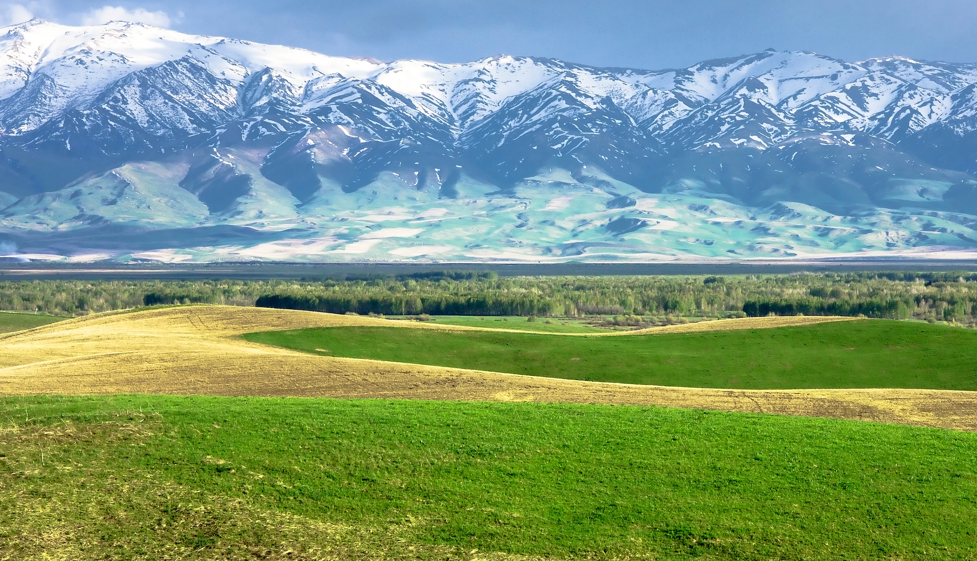 Алматинская область карасайский. Горы Джайляу Казахстан. Кугалы Казахстан. Альпийские Луга Заилийского Алатау.