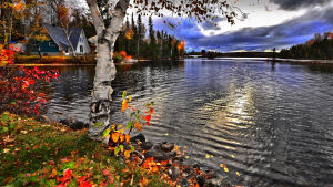 Озеро в бликах