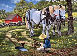Фермер и лошадки