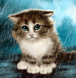 Котенок под дождем