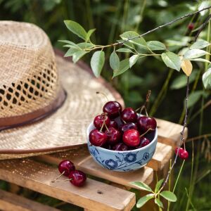 Черешня и шляпа