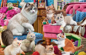 Котята игруны