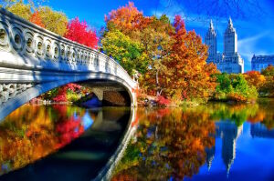 Осень и мост