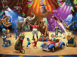 Представление в цирке