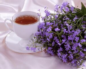 Цветы и чашка чая