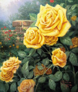 Желтые розы в саду